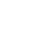 service-icon