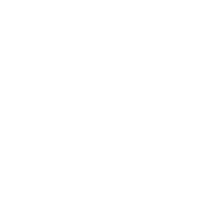 service-icon