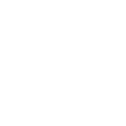 service-icon