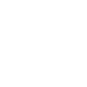 service-icon