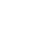 service-icon